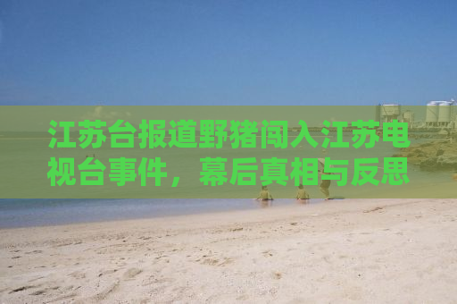 江苏台报道野猪闯入江苏电视台事件，幕后真相与反思